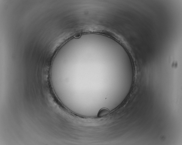 X0000111620010200907311213