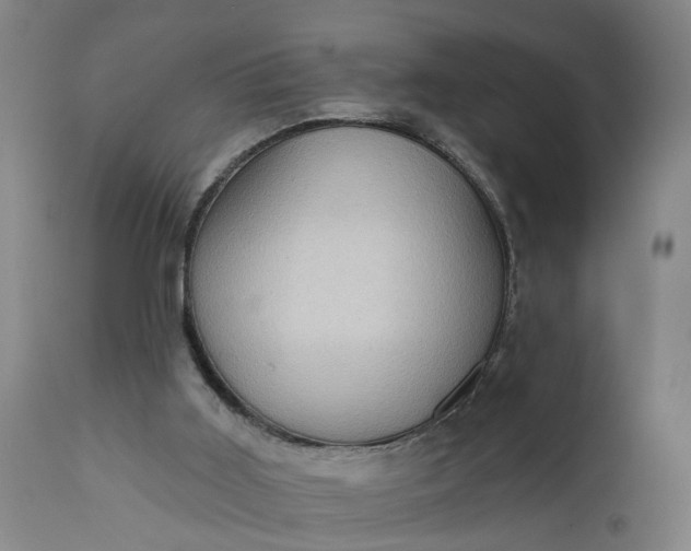 X0000111620011200907311213