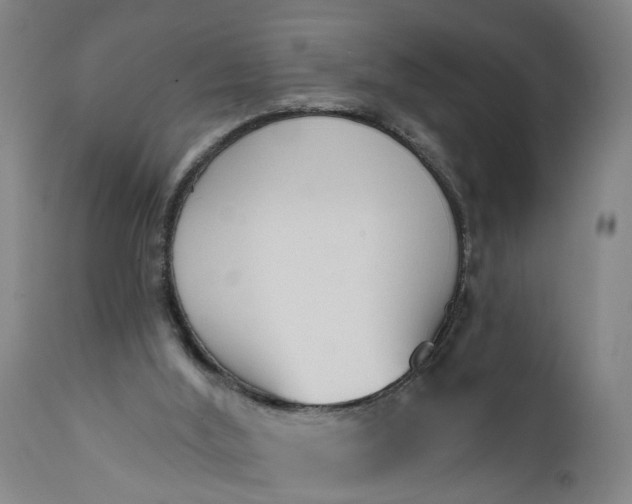 X0000111620012200907311213