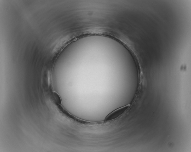 X0000111620013200907311213