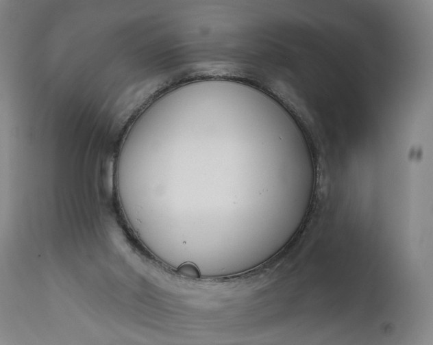 X0000111620014200907311213