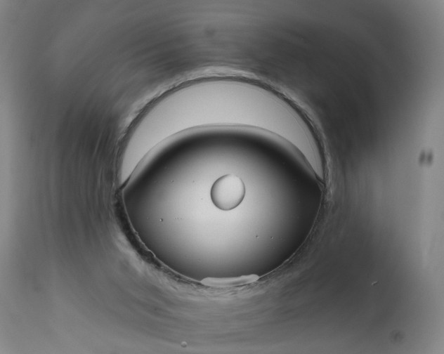 X0000111620015200907311213