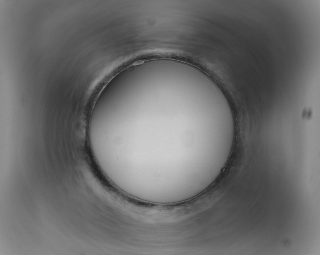 X0000111620016200907311213