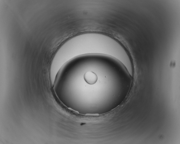 X0000111620017200907311213