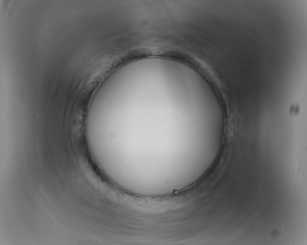 X0000111620018200907311213