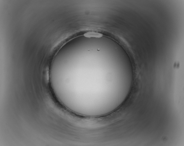 X0000111620020200907311213