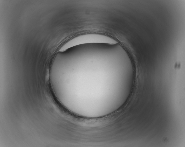 X0000111620021200907311213