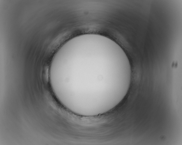 X0000111620022200907311213