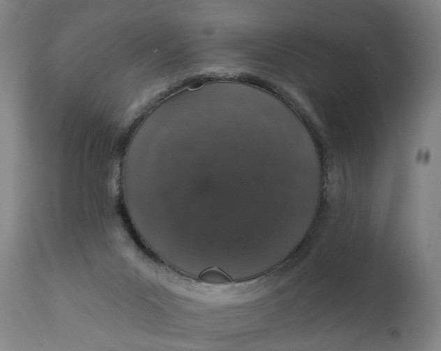 X0000111620023200907311213