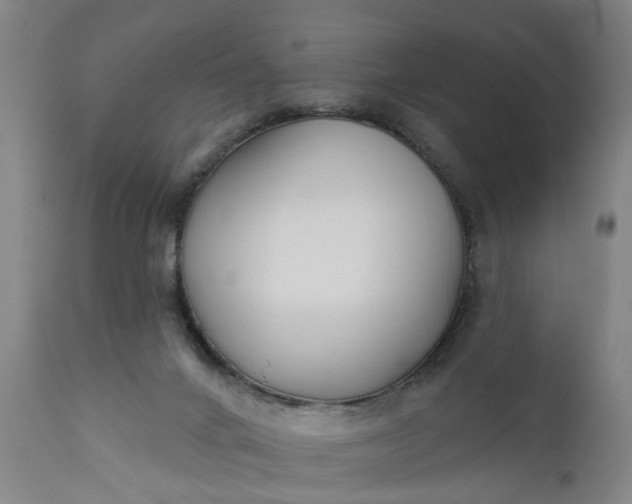 X0000111620024200907311213