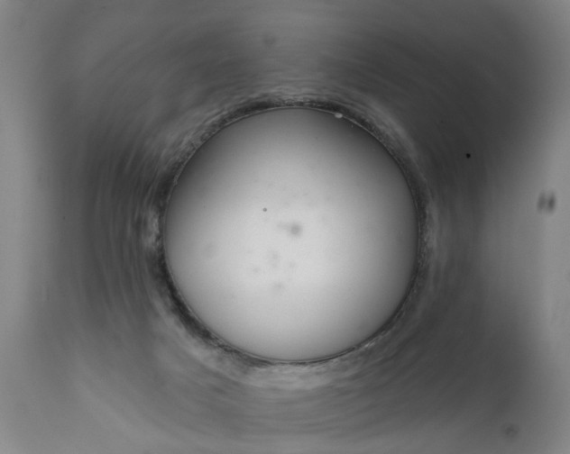 X0000111620025200907311213