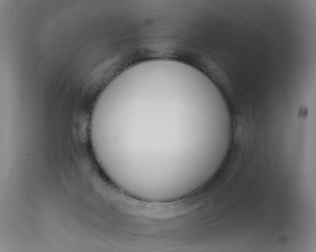 X0000111620026200907311213