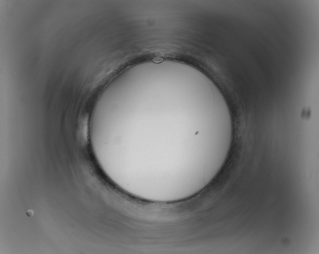 X0000111620028200907311213