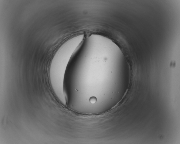 X0000111620029200907311213