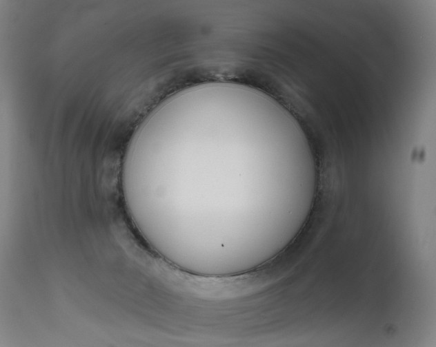 X0000111620030200907311213