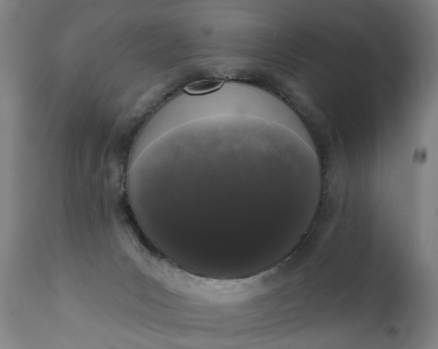 X0000111620031200907311213