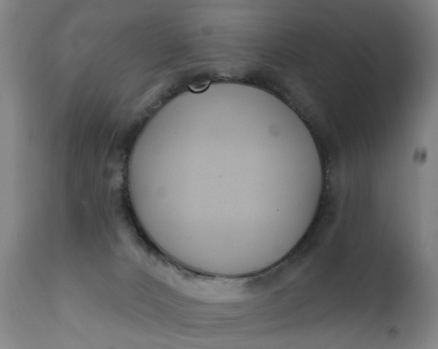 X0000111620032200907311213