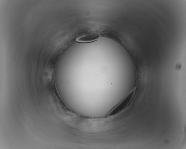 X0000111620033200907311213