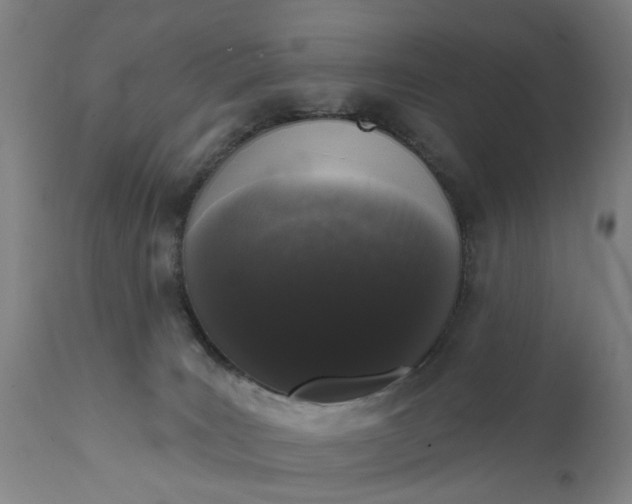 X0000111620035200907311213