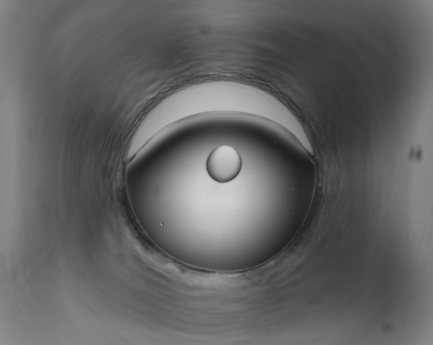 X0000111620036200907311213