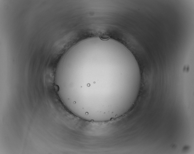 X0000111620037200907311213