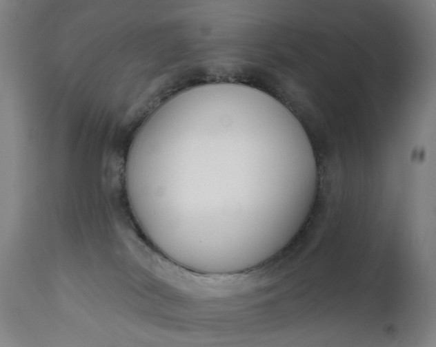 X0000111620038200907311213