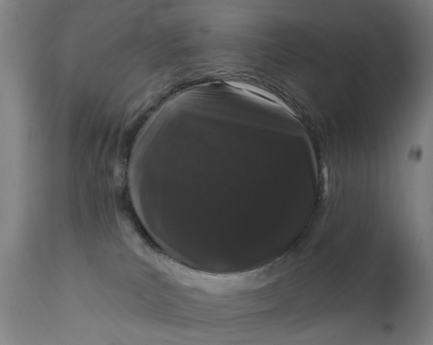 X0000111620039200907311213