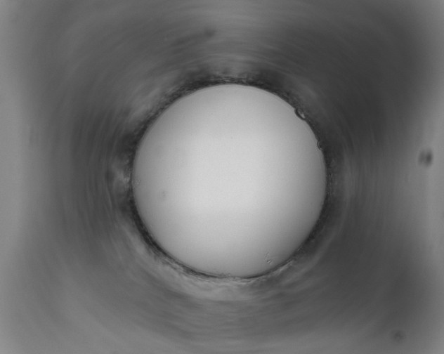 X0000111620040200907311213