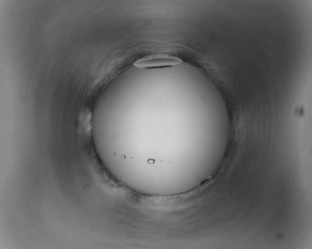 X0000111620041200907311213