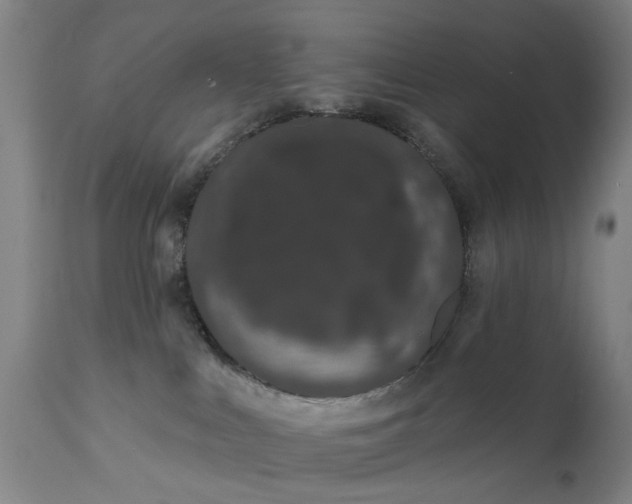 X0000111620043200907311213