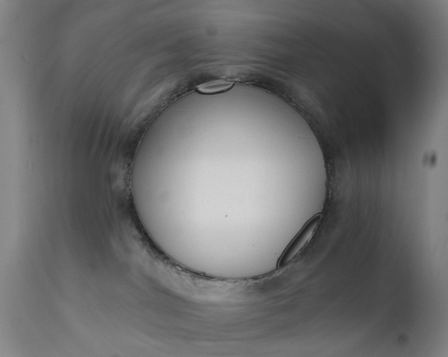 X0000111620044200907311213