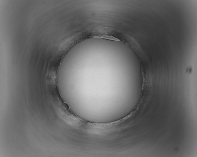 X0000111620045200907311213