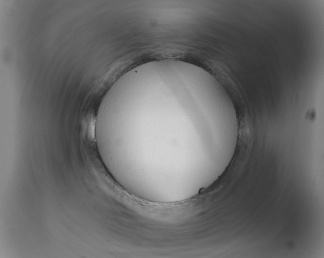 X0000111620046200907311213