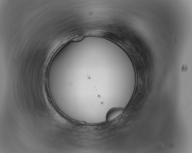 X0000111620049200907311212