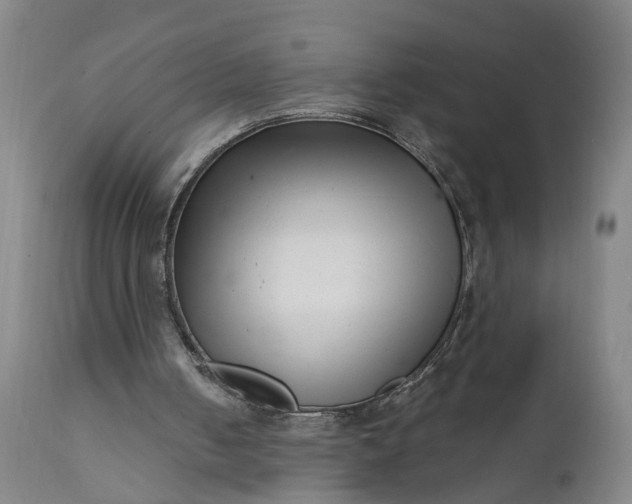 X0000111620050200907311212