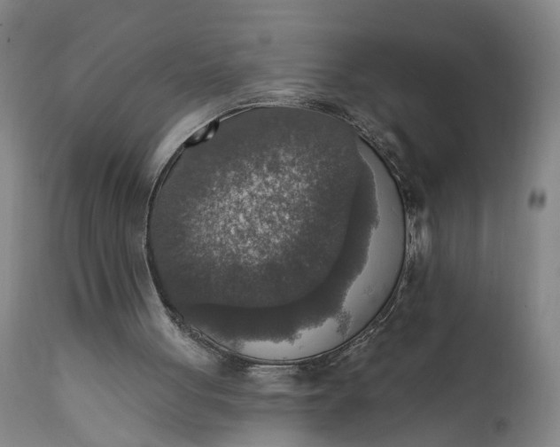 X0000111620051200907311212