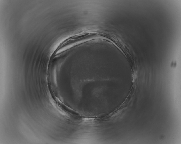 X0000111620052200907311212