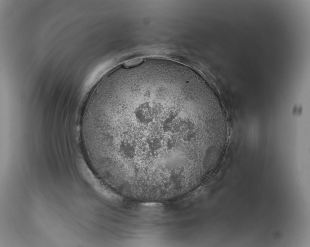 X0000111620053200907311212