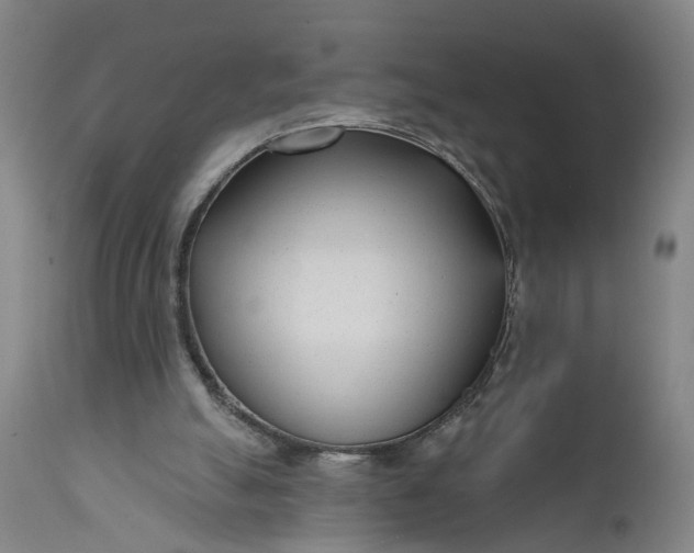 X0000111620055200907311212