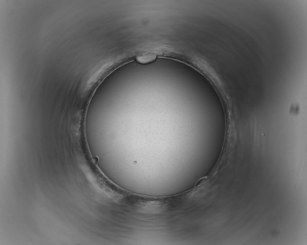 X0000111620058200907311212