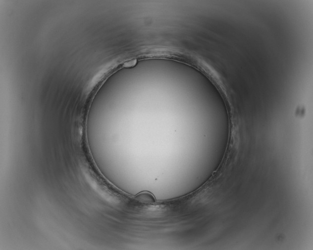 X0000111620059200907311212