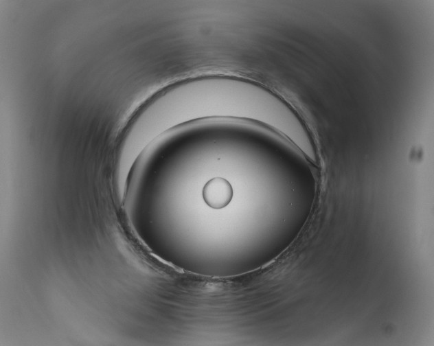 X0000111620060200907311212