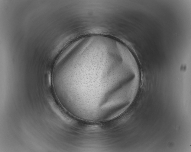 X0000111620061200907311212