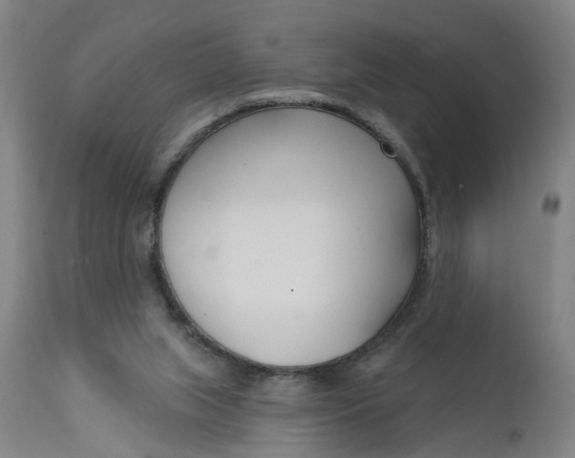 X0000111620063200907311212