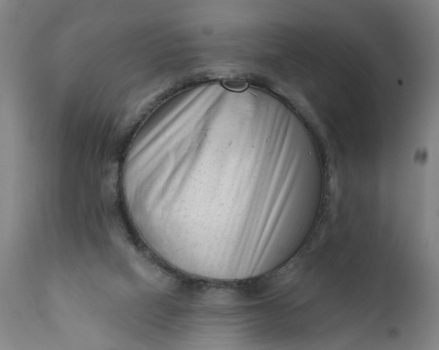 X0000111620066200907311213