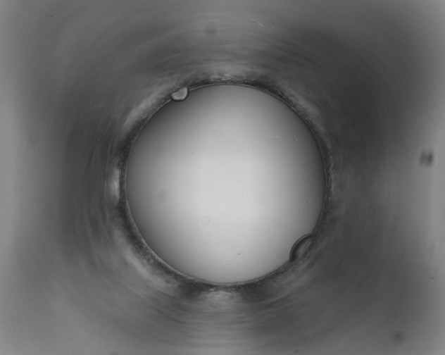 X0000111620067200907311213