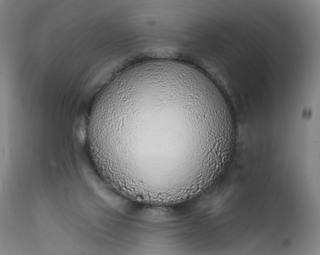 X0000111620069200907311213