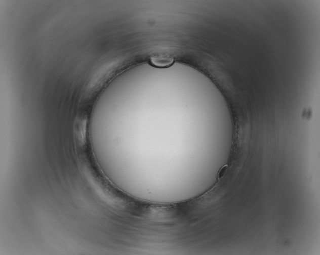 X0000111620070200907311213