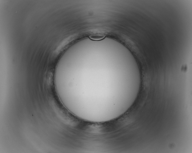 X0000111620071200907311213