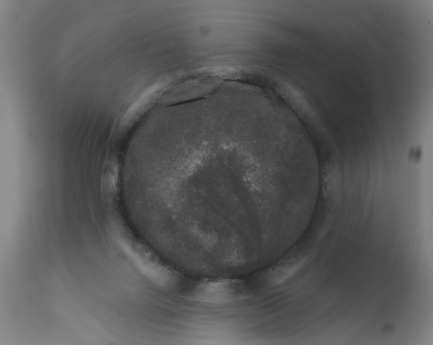 X0000111620072200907311213